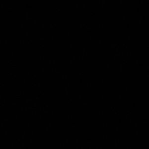 Meet your Posher, Bailey